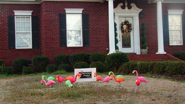 The Demopolis High School DECA club are ‘flocking’ local residents as a part of a fundraiser to raise money for their conference to Anaheim, Calif.