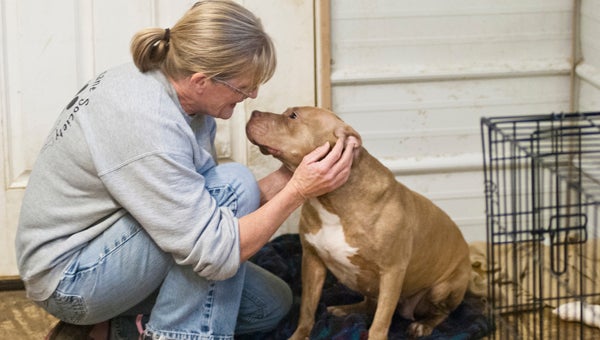 LABOR OF LOVE: Cindy McDonald with Blondie at Bigbee Humane Society in Demopolis. 